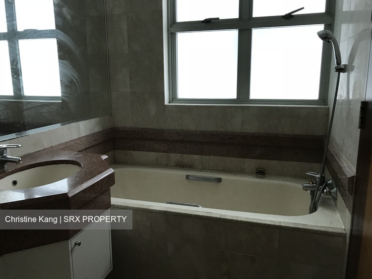 Sunshine Plaza (D7), Apartment #243529711